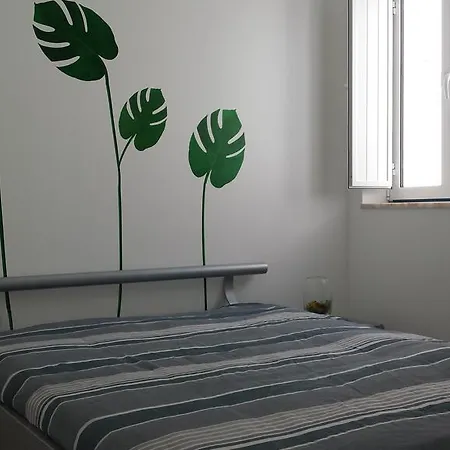 Apartamento Apartamento Vieira Guimarães *